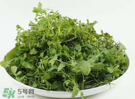 薺菜多少錢一斤？野生薺菜多少錢一斤？