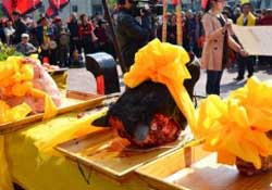 春分可以祭祀嗎？祭祀在春分前還是后？