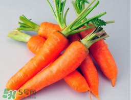 薺菜能和胡蘿卜一起吃嗎？薺菜可以和胡蘿卜一起吃嗎？