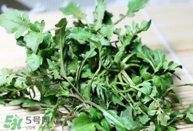 薺菜能和青菜一起吃嗎？薺菜和青菜一起吃好嗎？