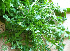 薺菜上有白點(diǎn)能吃嗎？薺菜背面有白點(diǎn)是什么？