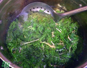 薺菜怎么焯水？薺菜焯水多久？