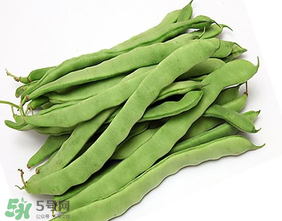 三月份可以種豆角嗎？豆角幾月份種？