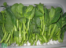 青菜苔可以吃嗎？青菜苔怎么做好吃？