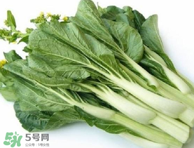 青菜苔可以吃嗎？青菜苔怎么做好吃？