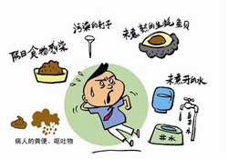 諾如病毒感染要隔離嗎？諾如病毒會傳染嗎？