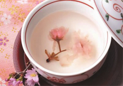 桃花酒孕婦可以喝嗎？懷孕了能喝桃花酒嗎？