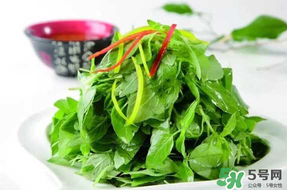 薺菜不能和什么一起吃？薺菜和什么相克？