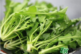 薺菜不能和什么一起吃？薺菜和什么相克？