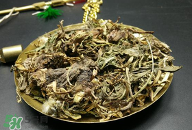 干的蒲公英多少錢(qián)一斤？蒲公英多少錢(qián)一斤干的？