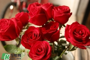 什么東西清火效果好？什么東西清火最快？