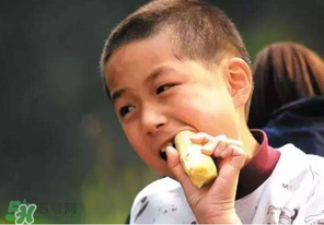 春天能吃甘蔗嗎？春天吃甘蔗有什么好處？
