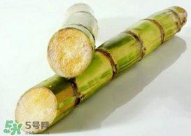 春天能吃甘蔗嗎？春天吃甘蔗有什么好處？