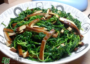 薺菜吃多了會(huì)中毒嗎？吃薺菜中毒怎么辦？