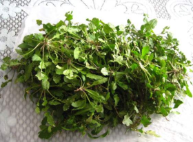 野生薺菜幾月份有？野生薺菜什么時(shí)候有？