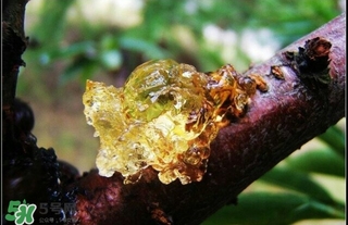 吃什么對(duì)皮膚好？怎么吃皮膚好？