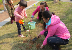 植樹(shù)節(jié)一般種什么樹(shù)？植樹(shù)節(jié)種什么樹(shù)比較好？