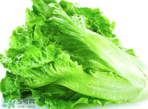 春天能種生菜嗎？生菜春天可以種嗎？