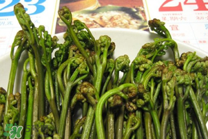 蕨菜為什么苦？蕨菜苦是怎么回事？