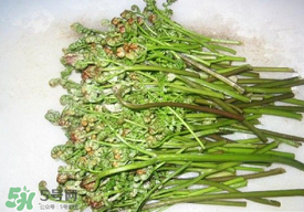 蕨菜怎么去苦味？蕨菜怎么做不苦？