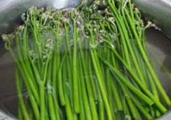 蕨菜怎么洗？蕨菜怎么清洗才干凈？