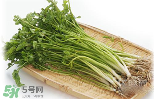 吃野芹菜會中毒嗎？吃野芹菜中毒了怎么辦？