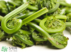 蕨菜怎么洗？蕨菜怎么清洗才干凈？