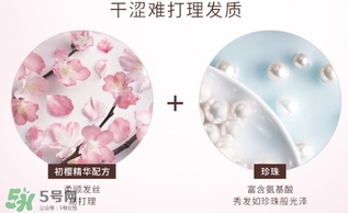 淳萃水舞櫻花護(hù)發(fā)素多少錢？淳萃水舞櫻花護(hù)發(fā)素價(jià)格