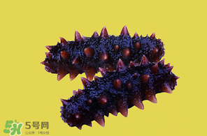 春天能吃海參嗎？春天吃海參效果好嗎？