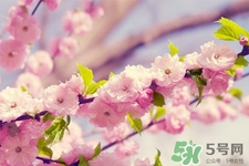 春天容易得水痘嗎？春天是水痘的高發(fā)季節(jié)嗎？