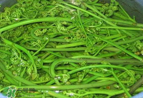 蕨菜怎么洗？蕨菜怎么清洗才干凈？