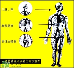防輻射服什么時(shí)候開始穿？防輻射服真的有用嗎？