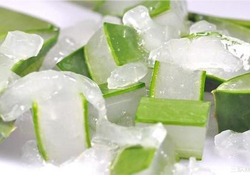 出水痘能用蘆薈膠嗎？水痘破了能擦蘆薈膠嗎？