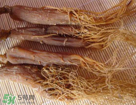 春天能吃紅參嗎？春天可以吃紅參嗎？