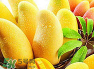 什么人不能吃芒果？哪些人不能吃芒果？