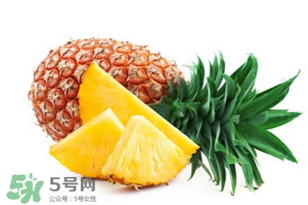 3月份有菠蘿吃嗎？三月份菠蘿可以吃嗎？