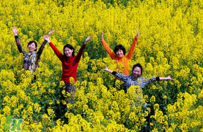 四月份還有油菜花嗎？4月份還有油菜花嗎？