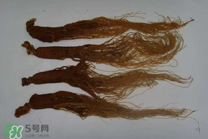 紅參可以天天吃嗎？紅參的功效與作用