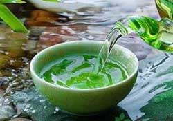 清明茶什么時候采？采清明茶什么時候結(jié)束？