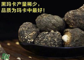 春天能吃瑪卡嗎？女人春天能吃瑪卡嗎？