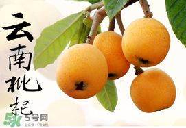 枇杷能放冰箱嗎？枇杷可以放冰箱保存嗎？