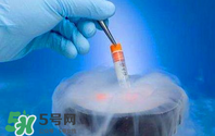 凍卵是什么？凍卵子需要多少錢？