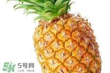 吃菠蘿太多會(huì)胃痛嗎？為什么吃菠蘿會(huì)胃痛？