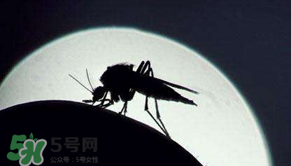蚊蟲(chóng)叮咬會(huì)傳播艾滋病嗎？蚊蟲(chóng)會(huì)傳染乙肝嗎？