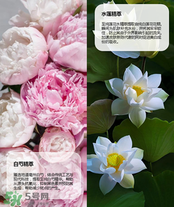 羽西丁一晨限定護(hù)膚品多少錢(qián)？羽西丁一晨限定價(jià)格