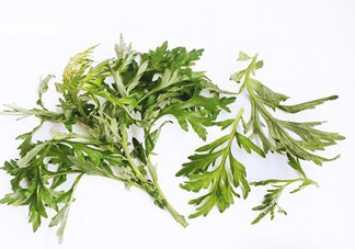艾草可以治痛經嗎？艾草能治月經不調嗎？