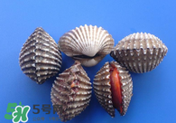 泥蚶怎么讀？泥蚶做法