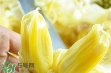 菠蘿蜜怎么吃？菠蘿蜜好吃嗎？