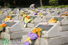 清明節(jié)上墳如何擦墓碑？清明節(jié)掃墓怎么清理墓碑？
