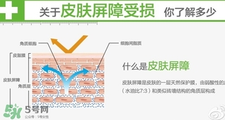 玉澤和至本哪個(gè)好？玉澤和至本區(qū)別對(duì)比
